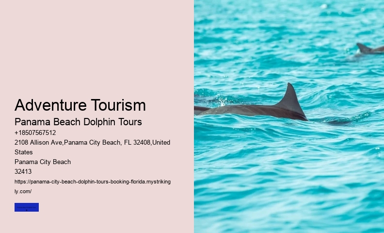 Which Beach Is Best For Dolphin