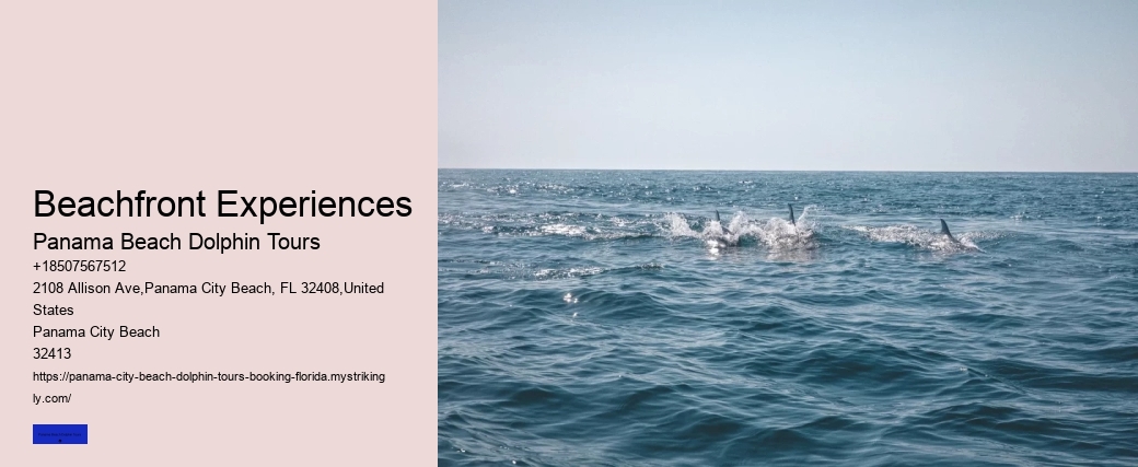 Beachfront Experiences