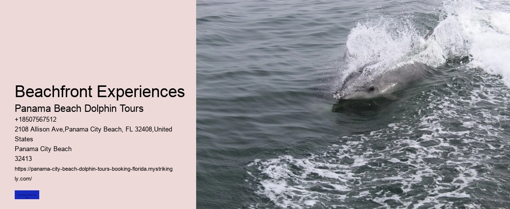 What Is The Weight Limit To Ride A Dolphin