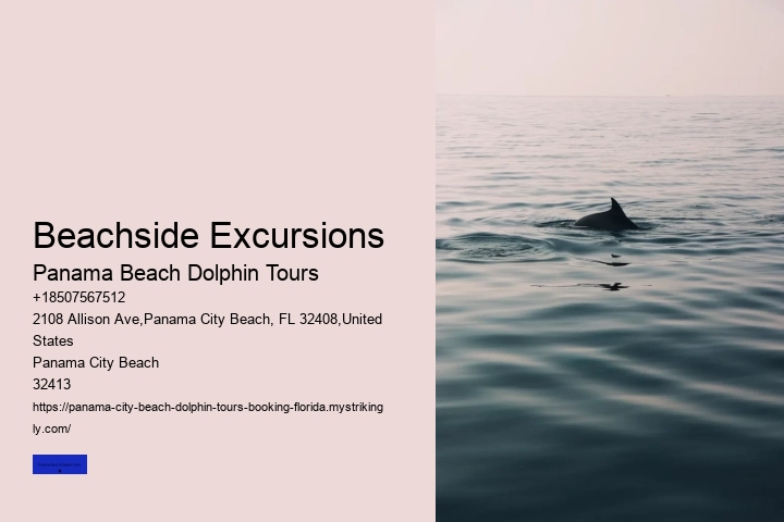 Beachside Excursions