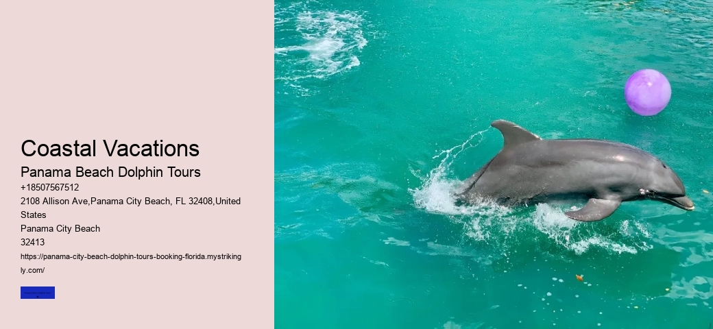 How Much Does An Airboat Captain Make