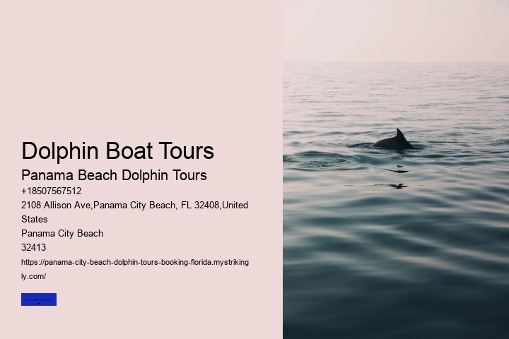 Dolphin Boat Tours