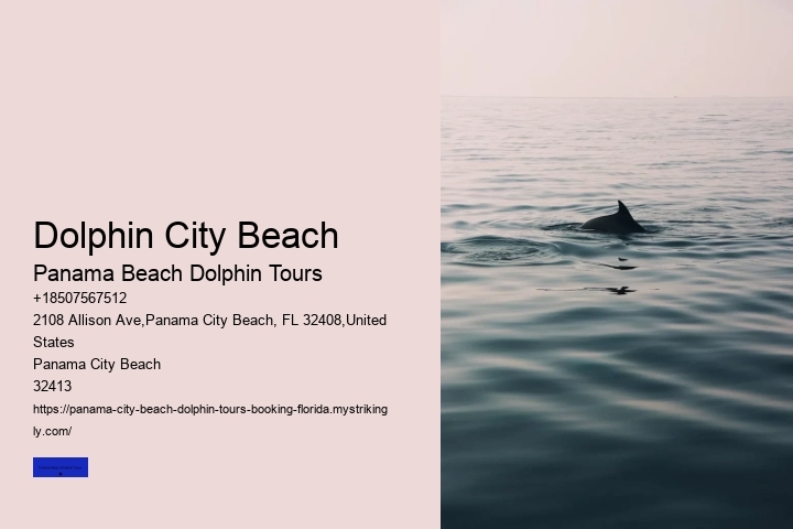 Dolphin City Beach