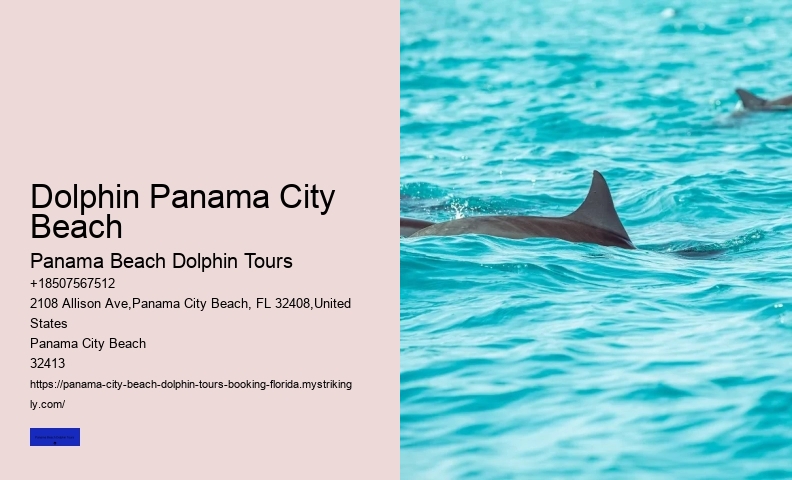 Dolphins Do Not Have The Ability To Detect If Women Are On Their Period