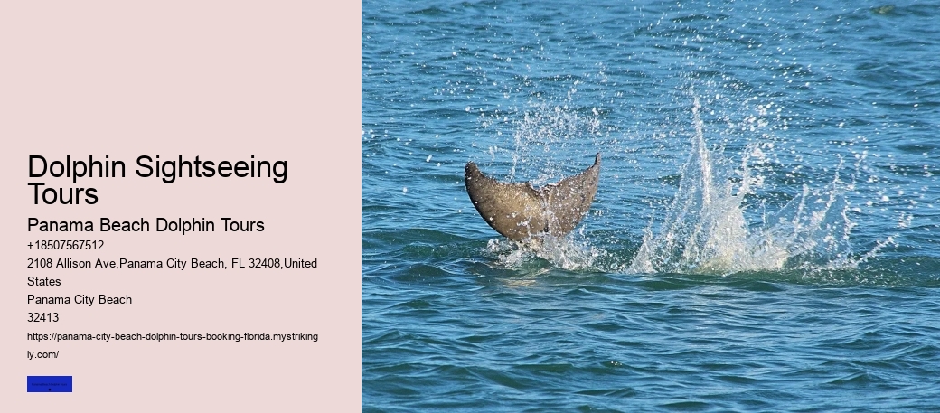 Dolphin Sightseeing Tours