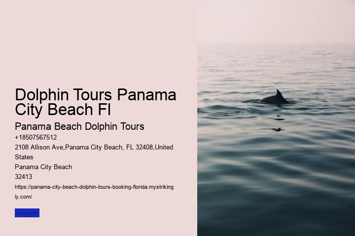 Dolphin Tours Panama City Beach Fl