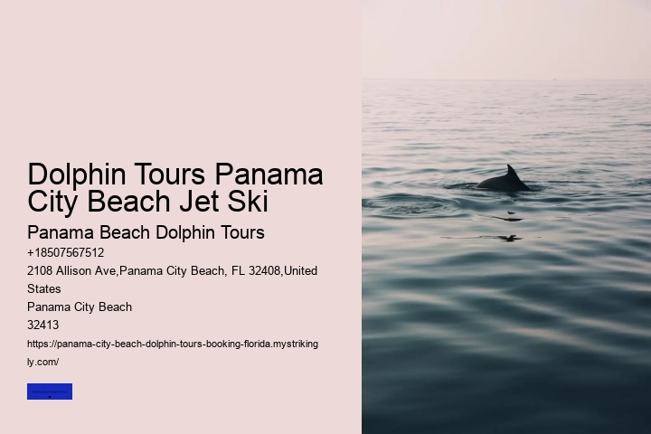 Dolphin Tours Panama City Beach Jet Ski