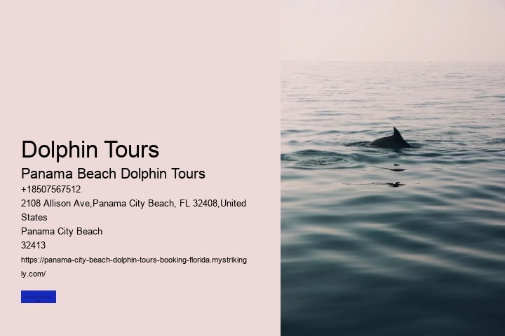 Dolphin Tours