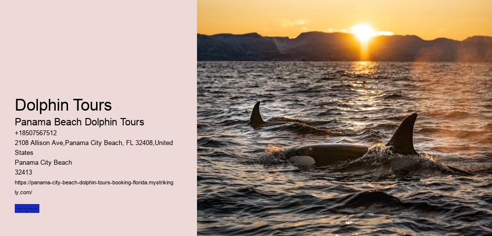 Swimming With Dolphins Is Not Safe For Your Family Nor The Dolphins