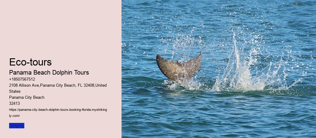 How Much Is The Average Dolphins Ticket