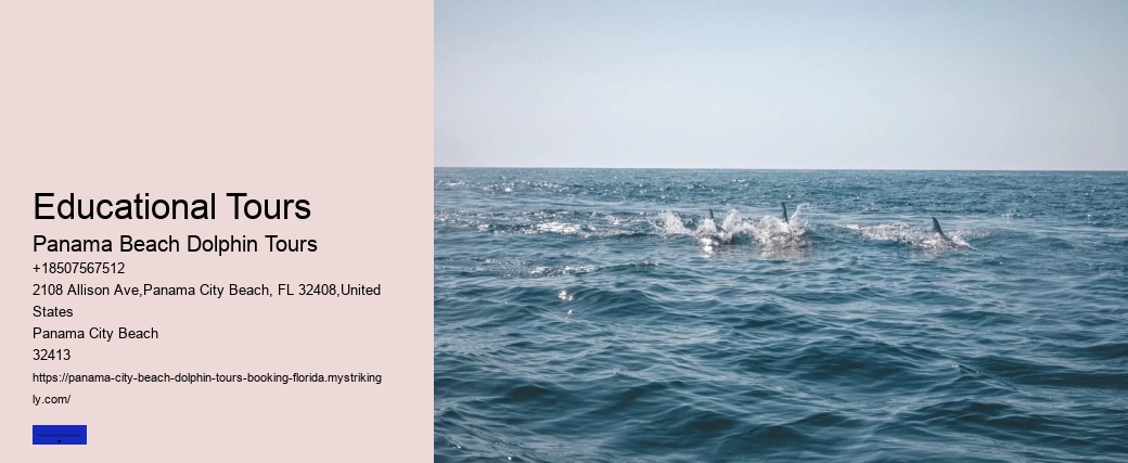 Shell Island Trips & Dolphin Tours