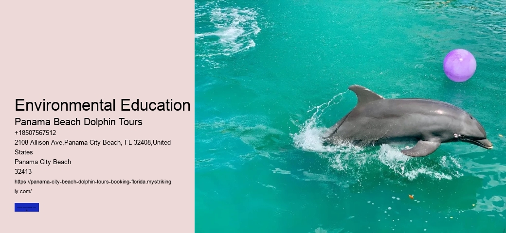 Are You Allowed To Take Shells From Shell Island