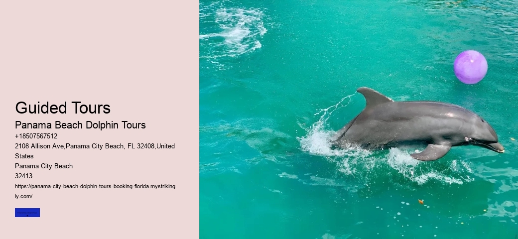 Panama City Beach Dolphin Tours Booking Price