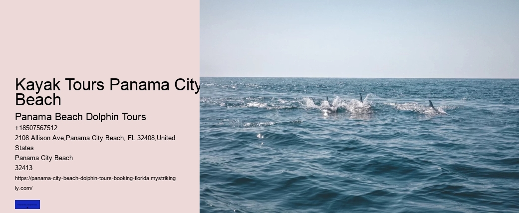 Kayak Tours Panama City Beach