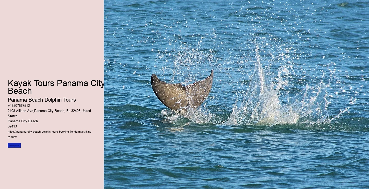 How Deep Is The Water To Swim With Dolphins