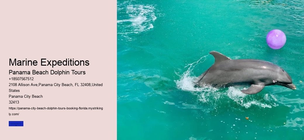 Panama City Beach Dolphin Tour Pricing
