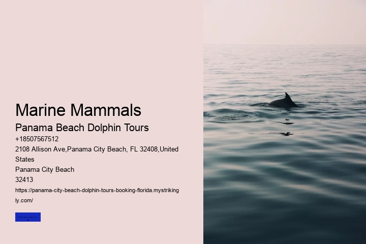 Marine Mammals