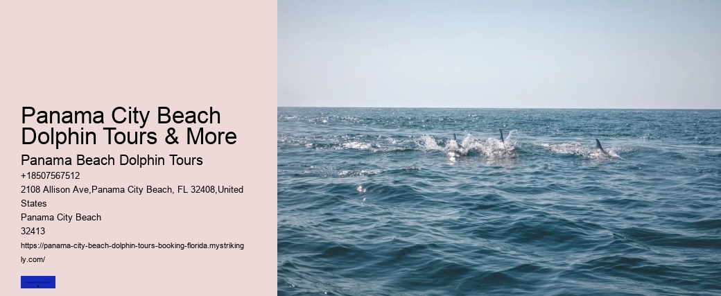 Panama City Beach Dolphin Tours & More