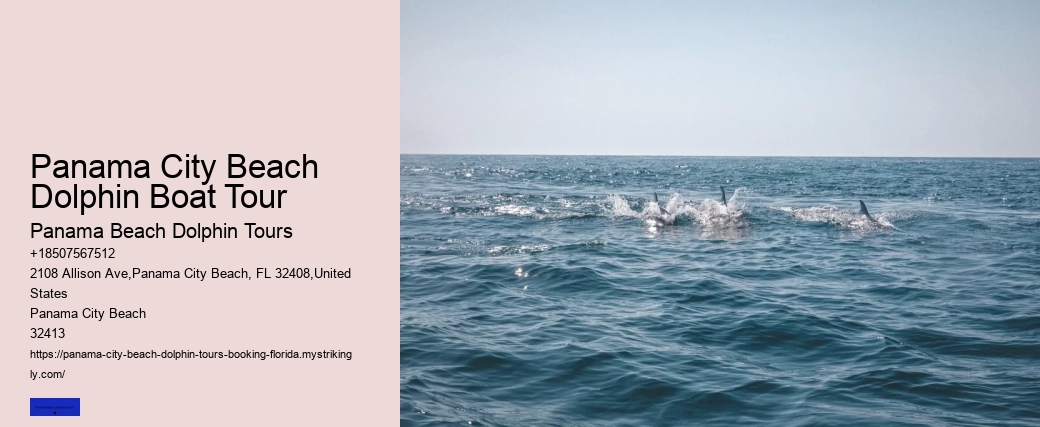 Panama City Beach Dolphin Boat Tour