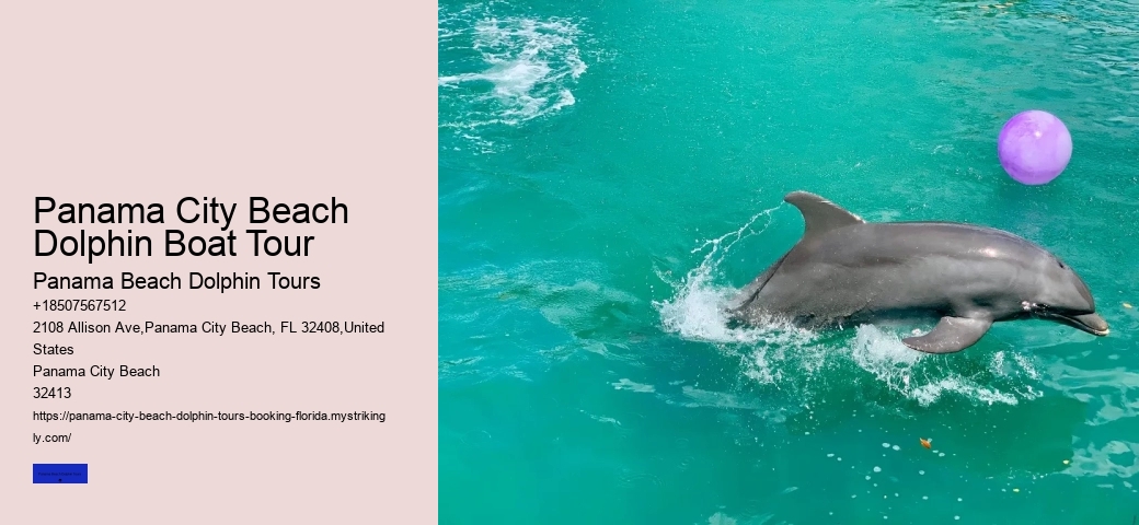 What Does The Seaworld Dolphin Encounter Include