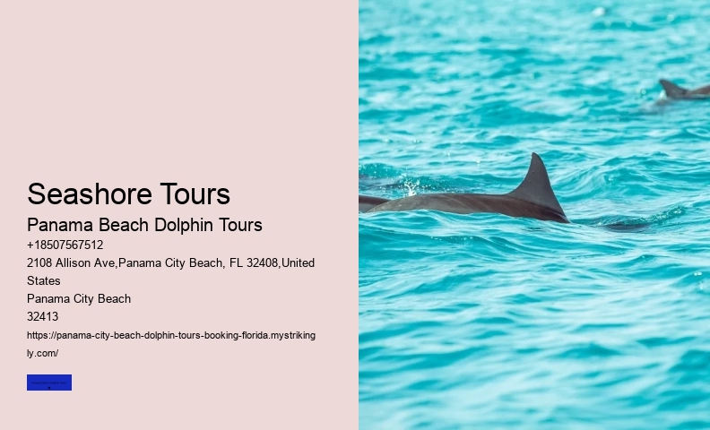 Dolphin Tours