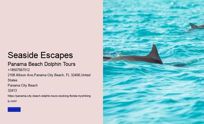 Beach Dolphin Tours Booking
